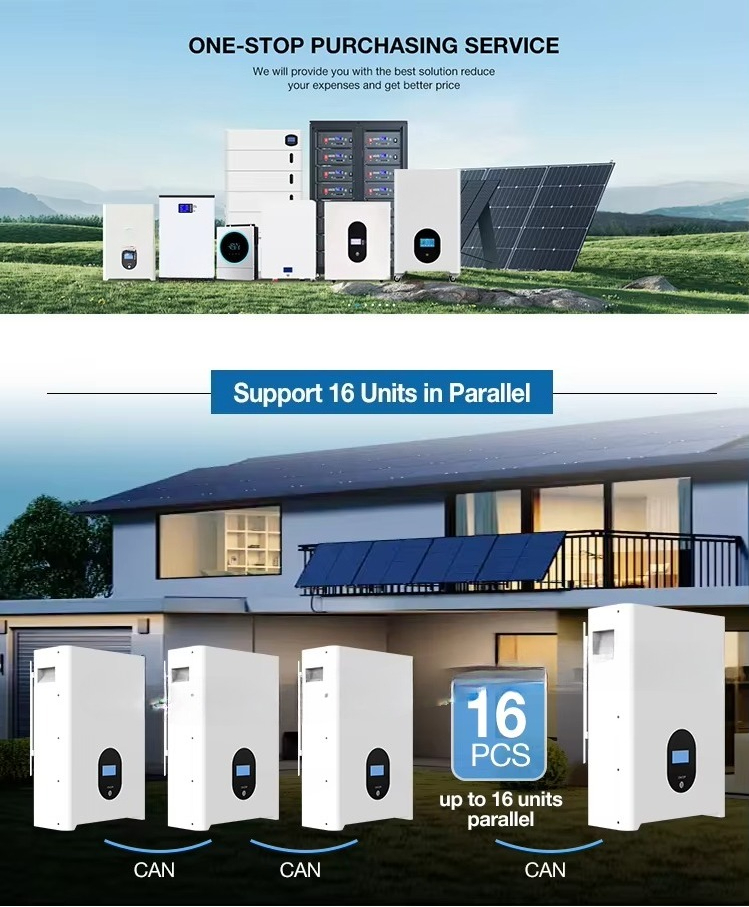 48V 51.2V 5kWh 10KWh 15kWh 16k - Lithium Battery 100Ah avis et prix
